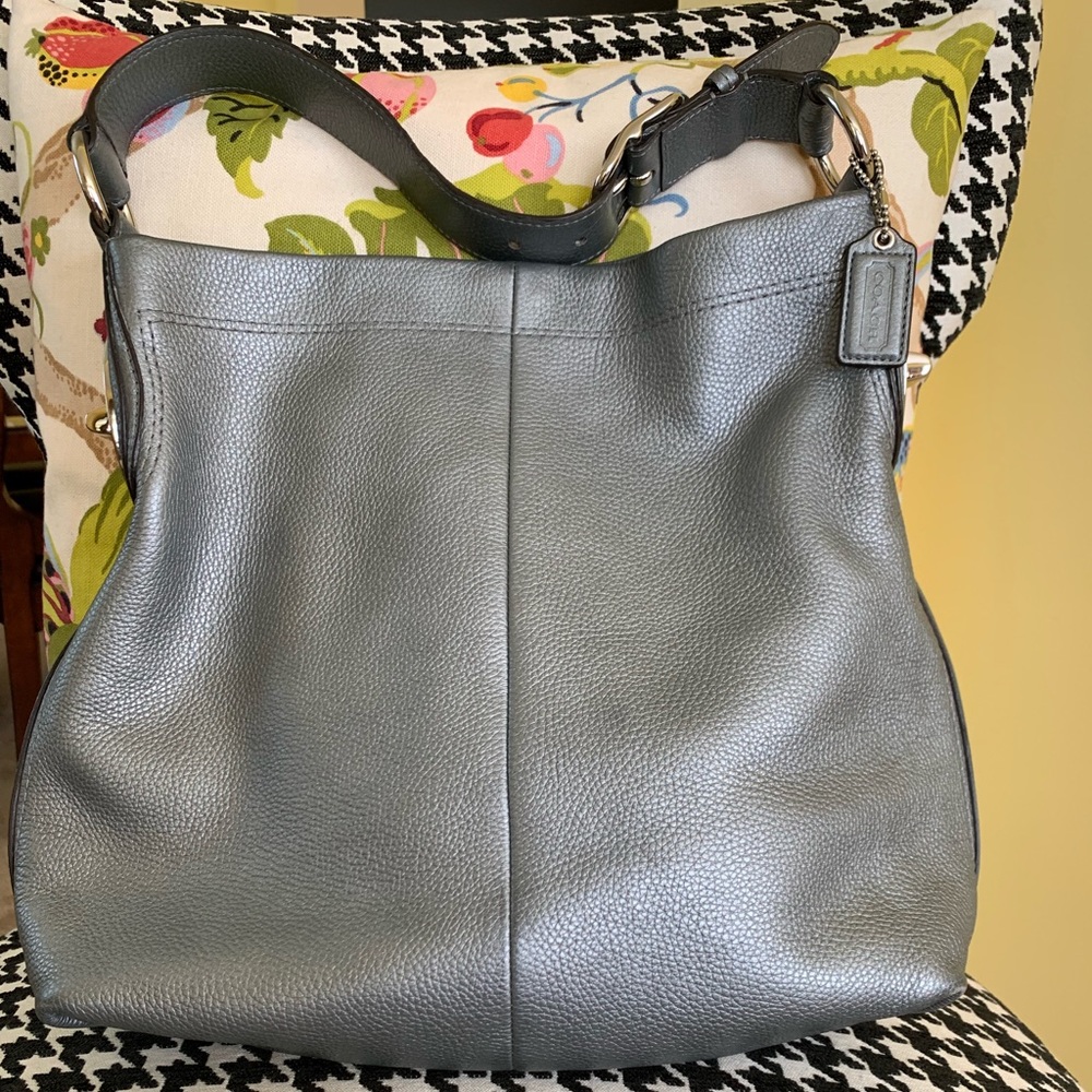 W/L 🌞 Coach Penelope Metallic Hobo